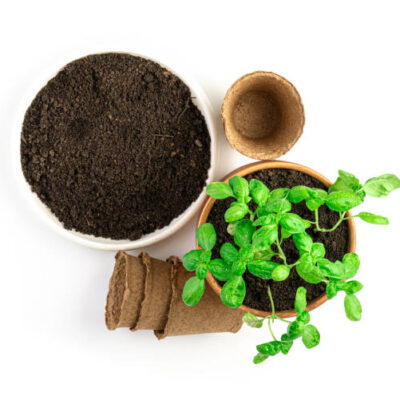 Istockphoto 1310712434 612x612
